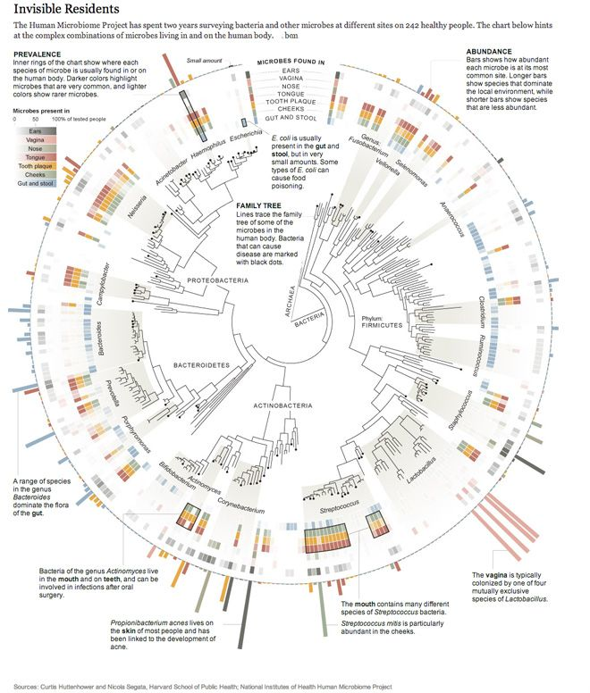 Microbiome Global Map