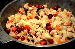 pumpkin-4-cranberry-chicken-stuffing