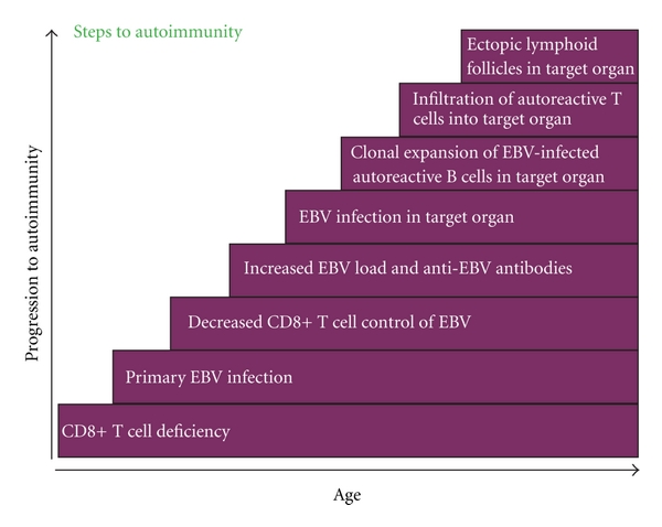Steps to Autoimmunity