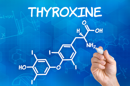 TSH test measures Thyroxine levels, among other things